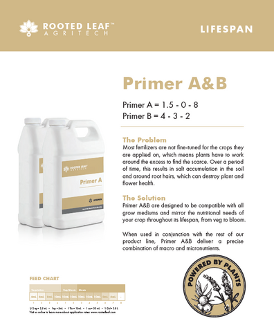 
  
	
    
	
    Primer A&B