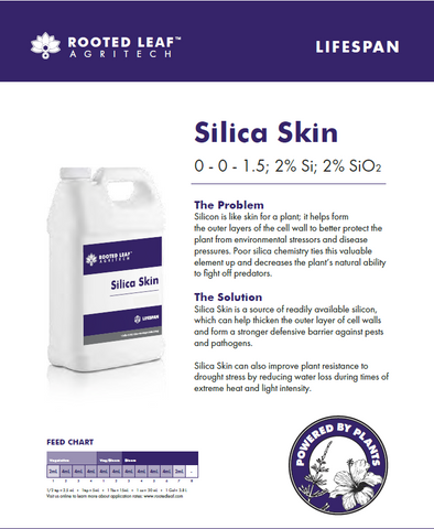 
  
	
    
	
    Silica Skin