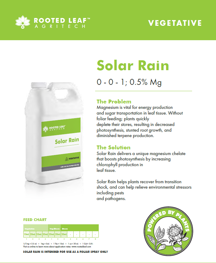 Solar Rain