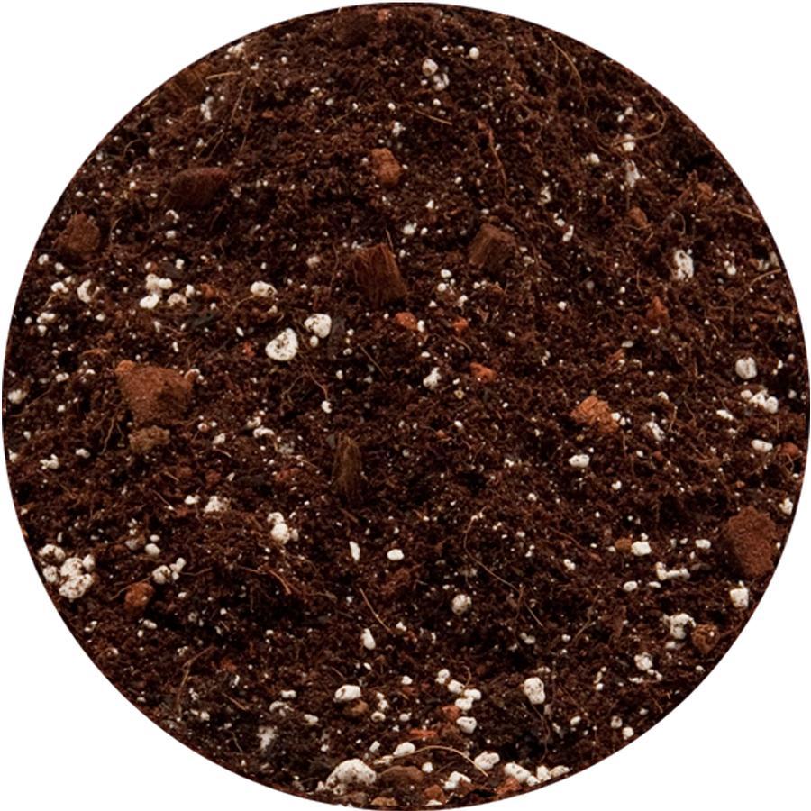 Royal Gold Soil, BASEMENT MIX